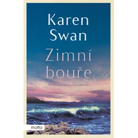 Zimní bouře - E-kniha
