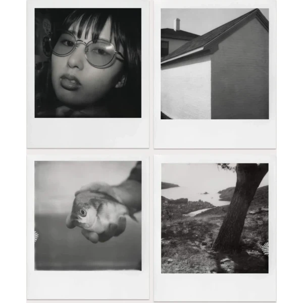 Polaroid B&W Film SX-70 - Filmy pro instantní fotoaparáty - Obrázek 4N0E000K01