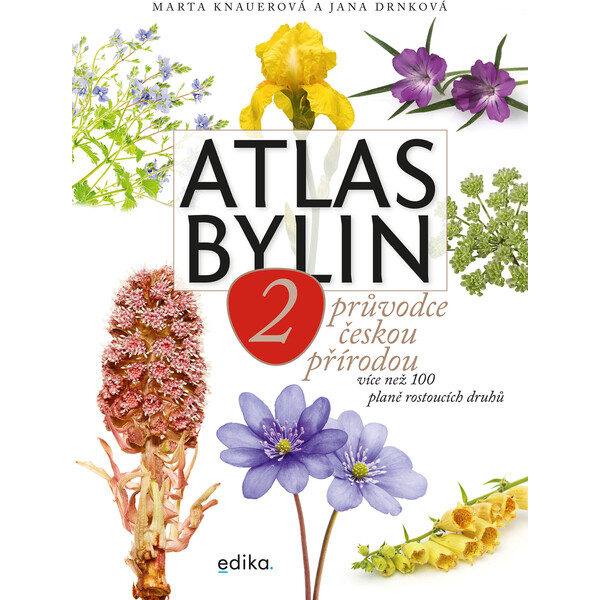 Atlas bylin 2