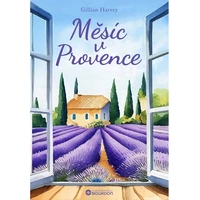Měsíc v Provence - E-kniha