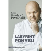 Labyrint pohybu - E-kniha