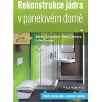 Rekonstrukce jádra v panelovém domě - E-kniha
