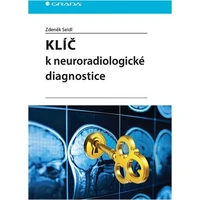Klíč k neuroradiologické diagnostice - E-kniha