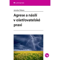 Agrese a násilí v ošetřovatelské praxi - E-kniha