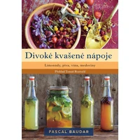 Divoké kvašené nápoje - E-kniha
