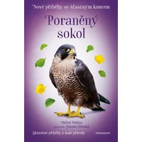 Nové příběhy se šťastným koncem – Poraněný sokol - E-kniha