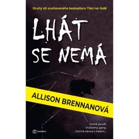 Lhát se nemá - E-kniha
