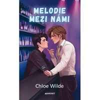 Melodie mezi námi - E-kniha