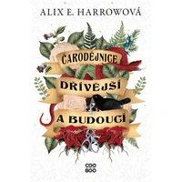 Čarodějnice dřívější a budoucí - E-kniha