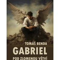 Gabriel - E-kniha
