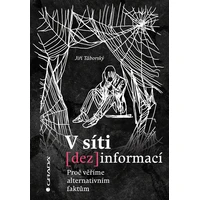 V síti dezinformací - E-kniha