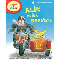 Alík hlídá babičku - E-kniha