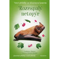 Nové příběhy se šťastným koncem – Rozespalý netopýr - E-kniha