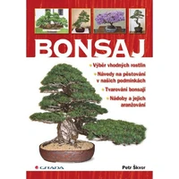 Bonsaj - E-kniha