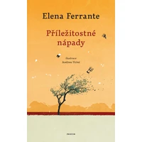 Příležitostné nápady - E-kniha