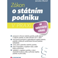 Zákon o státním podniku v praxi - E-kniha