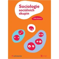 Sociologie sociálních skupin - E-kniha