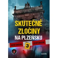 Skutečné zločiny na Plzeňsku 3 - E-kniha