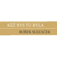 Kéž bys tu byla - E-kniha