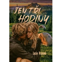 Jen tři hodiny - E-kniha