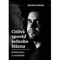 Citlivá zpověď jednoho blázna  - E-kniha