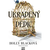 Ukradený dědic - E-kniha