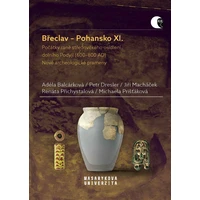 Břeclav – Pohansko XI. - E-kniha