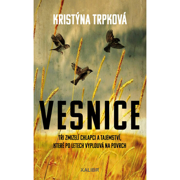 Vesnice