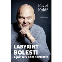 Labyrint bolesti - E-kniha