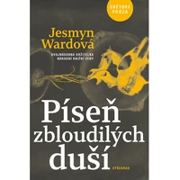 Píseň zbloudilých duší - E-kniha