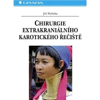 Chirurgie extrakraniálního karotického řečiště - E-kniha