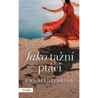 Jako tažní ptáci - E-kniha