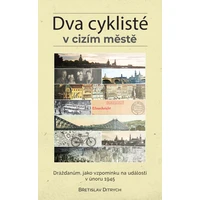 Dva cyklisté v cizím městě - E-kniha