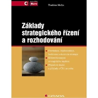 Základy strategického řízení a rozhodování - E-kniha