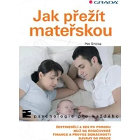 Jak přežít mateřskou - E-kniha