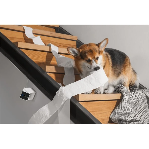 PetCube Cam bezpečnostní kamera - Kamery - Obrázek 56T5000J01