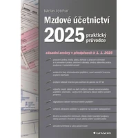 Mzdové účetnictví 2025 - E-kniha