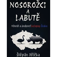 Nosorožci a labutě - E-kniha