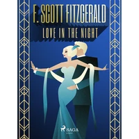 Love in the Night - E-kniha
