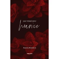 Jak tenké jsou hranice - E-kniha