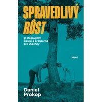 Spravedlivý růst - E-kniha