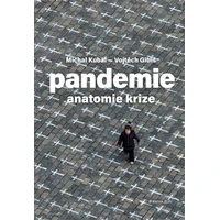 Pandemie: anatomie krize - E-kniha
