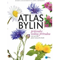 Atlas bylin - E-kniha