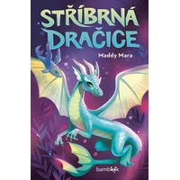 Stříbrná dračice - E-kniha