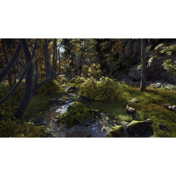 Way of the Hunter - Hunting Season One (PS5) - Hry pro PS5 - Obrázek 5EZ6000701