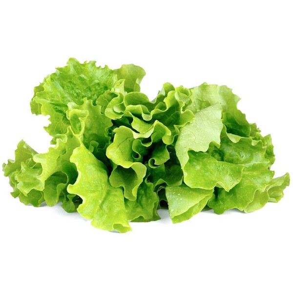 Click and Grow zelený salát kapsle se semínky a substrátem 3ks