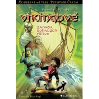Vikingové - E-kniha