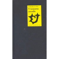 V temném zrcadle - E-kniha