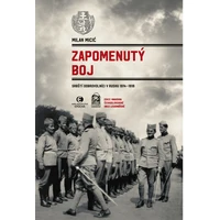 Zapomenutý boj - E-kniha