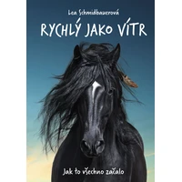 Rychlý jako vítr: Jak to všechno začalo - E-kniha